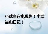 小武当官电视剧（小武当山日记）