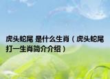 虎头蛇尾 是什么生肖（虎头蛇尾打一生肖简介介绍）