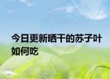 今日更新晒干的苏子叶如何吃