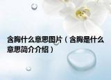 含胸什么意思图片（含胸是什么意思简介介绍）