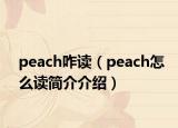 peach咋读（peach怎么读简介介绍）
