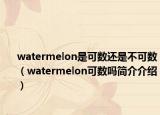 watermelon是可数还是不可数（watermelon可数吗简介介绍）