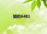 猎豹6481