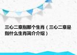 三心二意指那个生肖（三心二意是指什么生肖简介介绍）