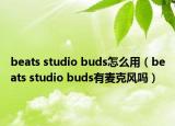 beats studio buds怎么用（beats studio buds有麦克风吗）