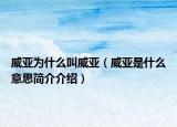 威亚为什么叫威亚（威亚是什么意思简介介绍）