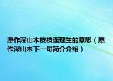 愿作深山木枝枝连理生的意思（愿作深山木下一句简介介绍）
