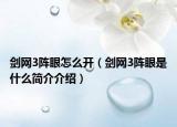 剑网3阵眼怎么开（剑网3阵眼是什么简介介绍）