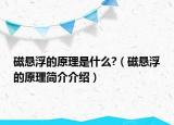 磁悬浮的原理是什么?（磁悬浮的原理简介介绍）