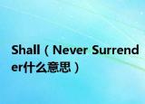 Shall（Never Surrender什么意思）