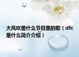 大风吹是什么节目里的歌（dfc是什么简介介绍）