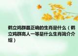 鹤立鸡群最正确的生肖是什么（鹤立鸡群高人一等是什么生肖简介介绍）