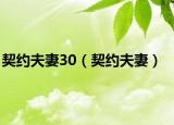 契约夫妻30（契约夫妻）