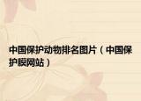中国保护动物排名图片（中国保护膜网站）
