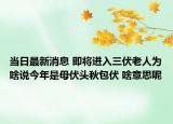 当日最新消息 即将进入三伏老人为啥说今年是母伏头秋包伏 啥意思呢