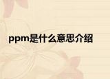 ppm是什么意思介绍