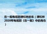 在一起电视剧谭松林的车（谭松林 2020年电视剧《在一起》中的角色）