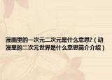 漫画里的一次元二次元是什么意思?（动漫里的二次元世界是什么意思简介介绍）