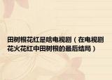 田树根花红是啥电视剧（在电视剧花火花红中田树根的最后结局）