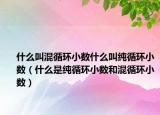 什么叫混循环小数什么叫纯循环小数（什么是纯循环小数和混循环小数）