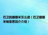巴卫的娜娜米怎么读（巴卫娜娜米啥意思简介介绍）