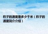 豹子的速度是多少千米（豹子的速度简介介绍）