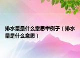 排水量是什么意思举例子（排水量是什么意思）