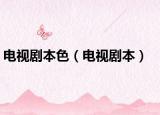 电视剧本色（电视剧本）