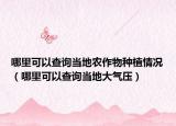 哪里可以查询当地农作物种植情况（哪里可以查询当地大气压）