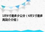 1尺6寸是多少公分（6尺1寸是多高简介介绍）