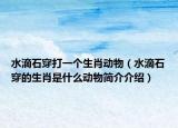 水滴石穿打一个生肖动物（水滴石穿的生肖是什么动物简介介绍）