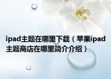 ipad主题在哪里下载（苹果ipad主题商店在哪里简介介绍）