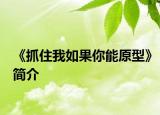《抓住我如果你能原型》简介