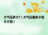 大气压多少?（大气压是多少简介介绍）