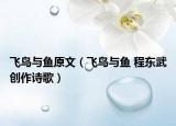 飞鸟与鱼原文（飞鸟与鱼 程东武创作诗歌）