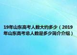 19年山东高考人数大约多少（2019年山东高考总人数是多少简介介绍）