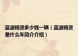 蓝波精灵多少钱一辆（蓝波精灵是什么车简介介绍）