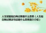 人生短暂如白驹过隙是什么意思（人生如白驹过隙这句话是什么意思简介介绍）