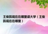 王俊凯现在在哪里读大学（王俊凯现在在哪里）