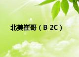 北美崔哥（B 2C）
