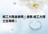 哈工大陈金老师（金铭 哈工大博士生导师）