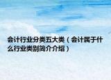 会计行业分类五大类（会计属于什么行业类别简介介绍）