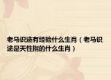 老马识途有经验什么生肖（老马识途是天性指的什么生肖）