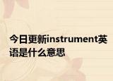今日更新instrument英语是什么意思