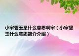 小家碧玉是什么意思啊家（小家碧玉什么意思简介介绍）