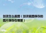剑灵怎么截图（剑灵截图保存的图片保存在哪里）