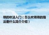 埙的吹法入门（怎么吹埙埙的指法是什么简介介绍）