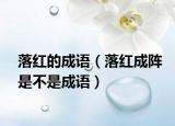 落红的成语（落红成阵是不是成语）