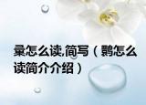 彚怎么读,简写（鹮怎么读简介介绍）