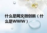 什么是网文微创新（什么是WWW）
